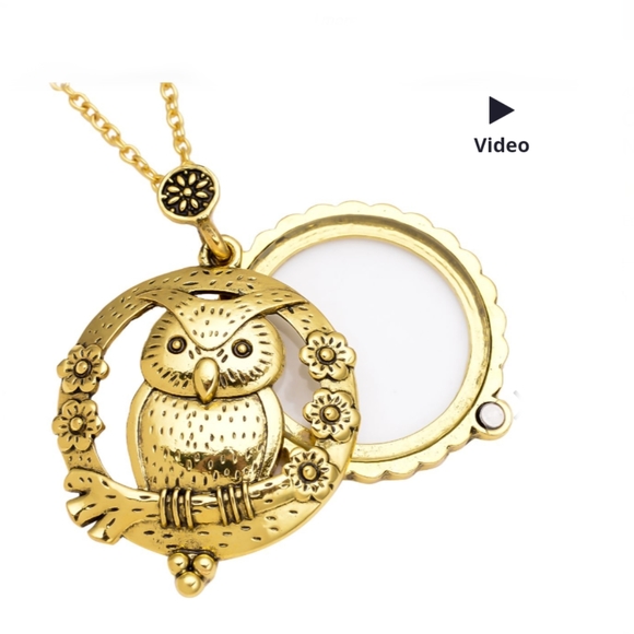 Adorable 'Owl' Magnifying Glass necklace, 30", Goldtone - Picture 4 of 4